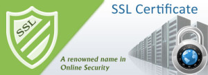 Protect your Online Deals with SSL Security