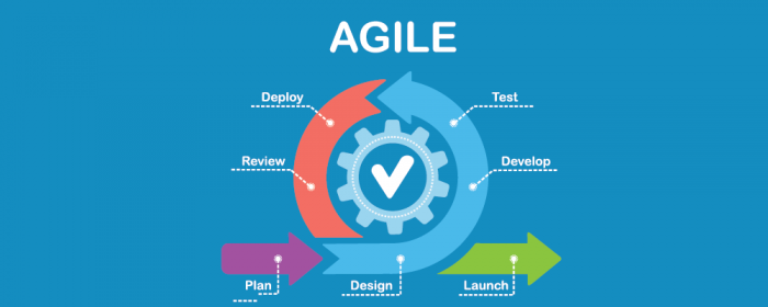 Become a More Agile Business