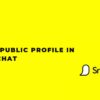 How to Make a Public Profile on Snap?
